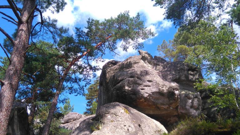 Paysage de rochers de grès dans la forêt de Fontainebleau