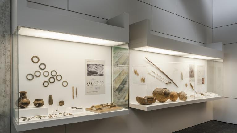 Vitrines présentant des objets du Néolithique (salle 6 du musée)