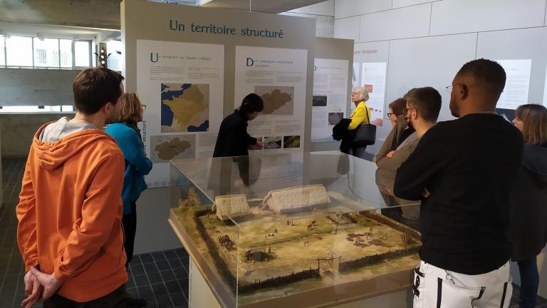 Visite guidée de l'exposition temporaire "Les Sénons. Archéologie et Histoire d'un peuple gaulois"