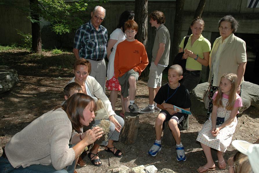 Photographie d'une animation sur le feu 