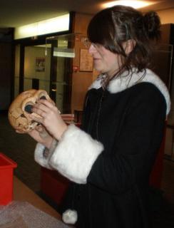 Une élève étudie un moulage de crâne d'homme préhistorique