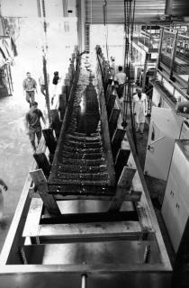 La barque carolingienne en cours de restauration au laboratoire ARC-Nucléart.