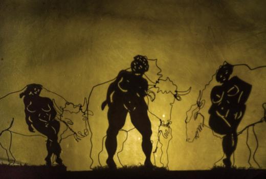 Vue du spectacle de marionnettes et d'ombre intitulé "Niébé et la femme bison"