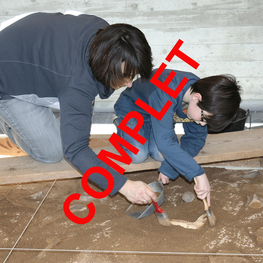 photographie d'une initiation à la fouille archéologique pour les familles