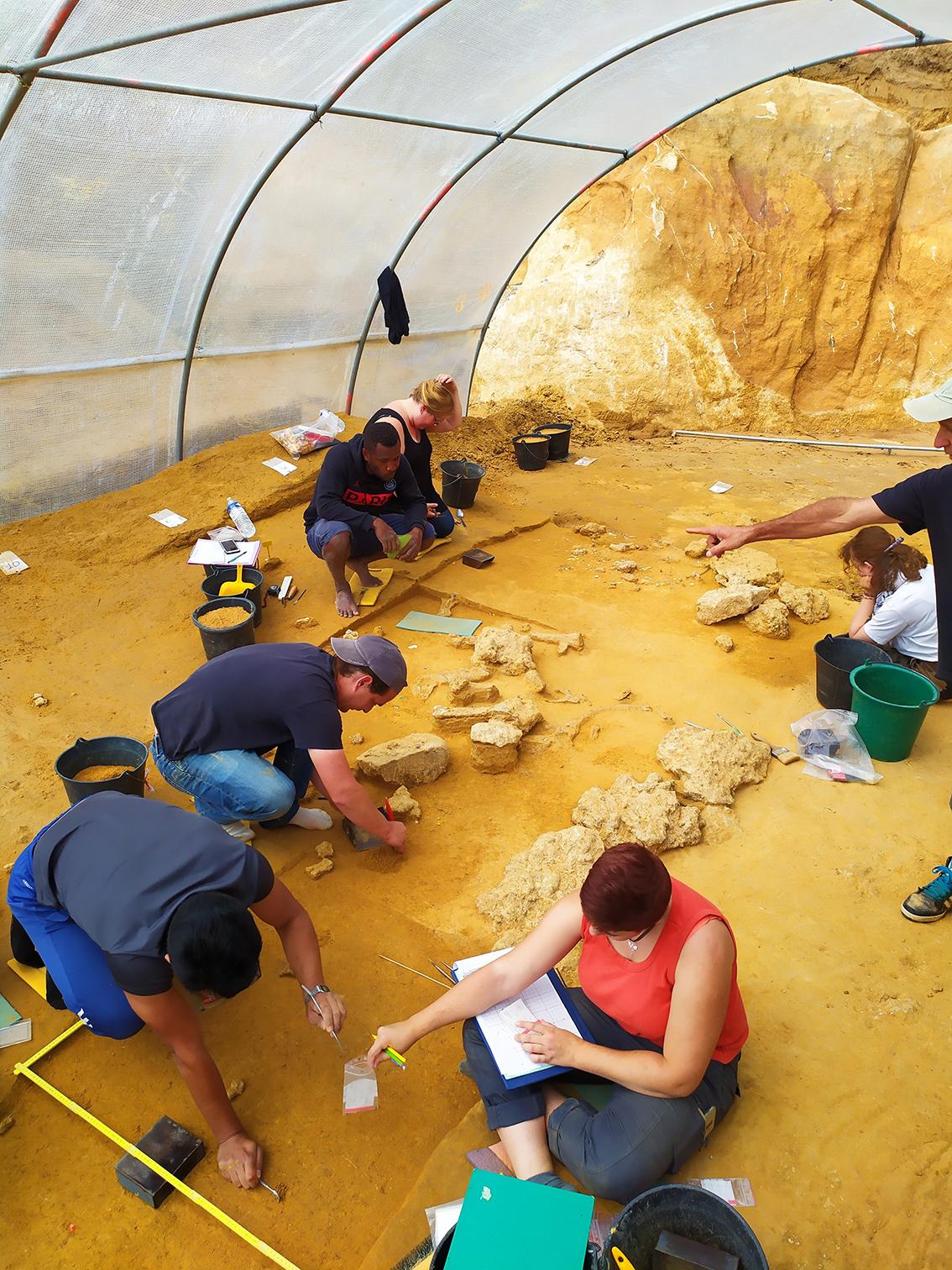 Vue du chantier de fouilles préhistoriques d'Ormesson (77)