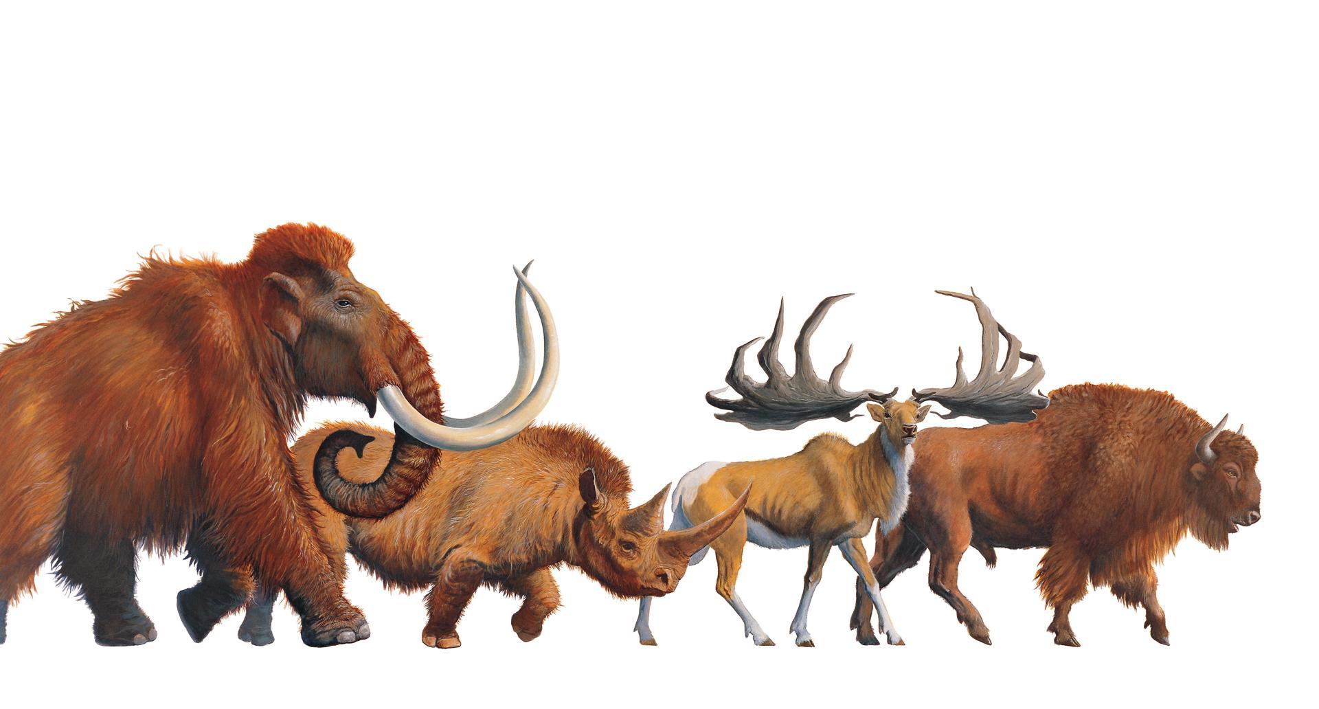 Frise picturale représentant des animaux préhistoriques